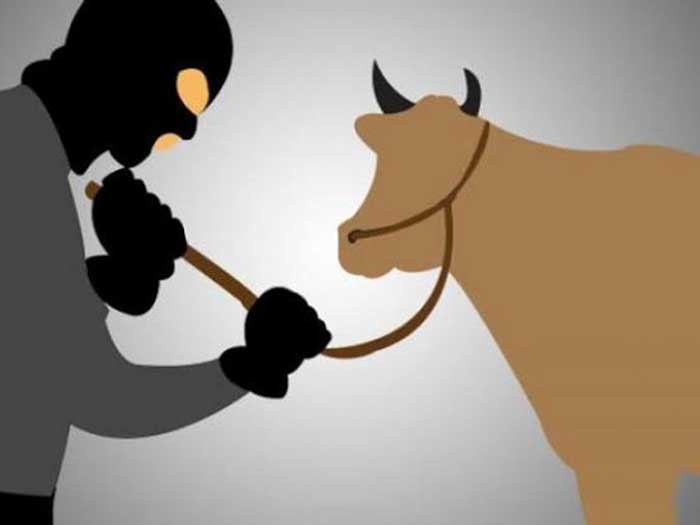 Polsek Tigaraksa Ringkus Dua Pemuda Pencuri Kambing
