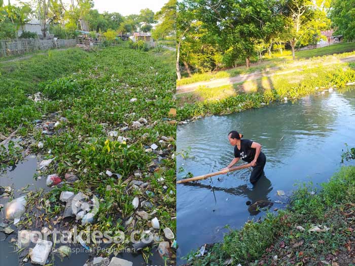 Dahulu Indah dan Tempat Bermain Bocah, Kini Kali Garon di Penuhi Eceng Gondok dan Sampah