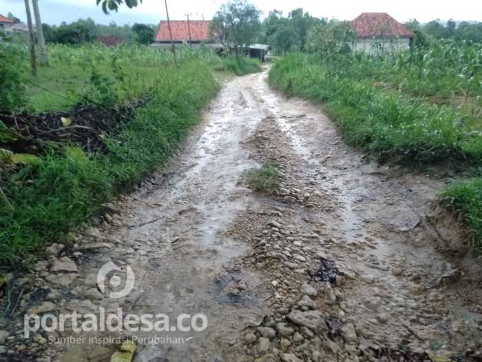 Miris, Puluhan Tahun Jalan Kabupaten ini Tak Tersentuh Perbaikan oleh Pemerintah