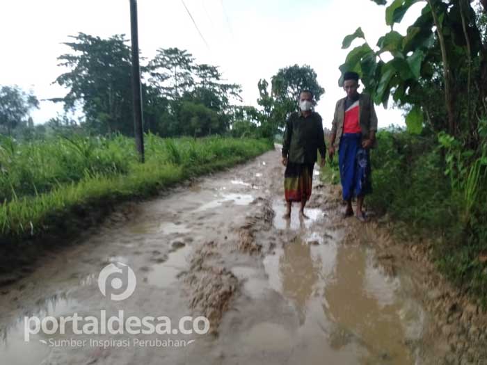 Miris, Puluhan Tahun Jalan Kabupaten ini Tak Tersentuh Perbaikan oleh Pemerintah