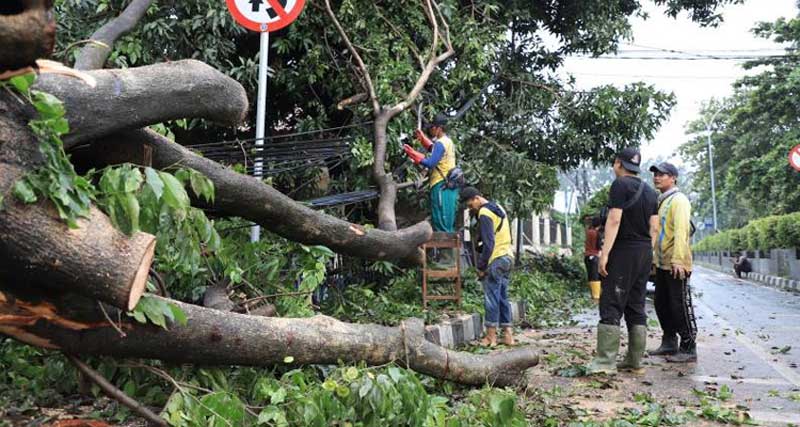 Pemkot Tangerang akan Berikan Santunan Bagi Korban Tertimpa Pohon