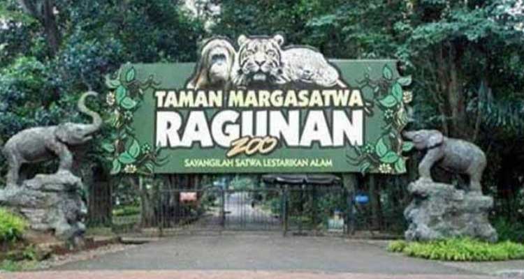 Capai 17 Ribu pengunjung Pihak Ragunan Siapkan 600 petugas Untuk Cegah kerumunan