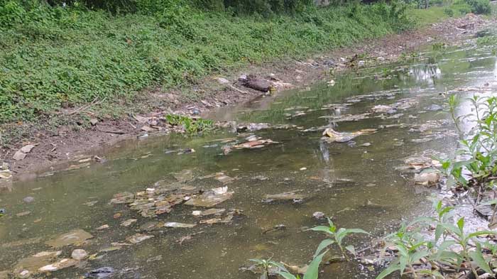 Keluhan Warga Dikabulkan, Kali Garon Tampak Bersih dari Eceng