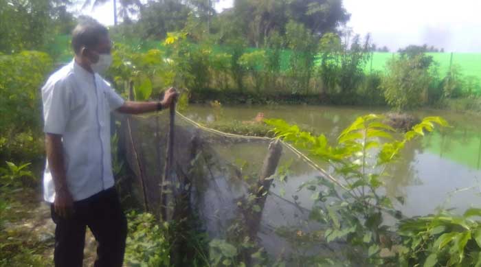 Manfaatkan Lahan Kosong, Lurah Pakuhaji Budi Daya Ikan Tawar