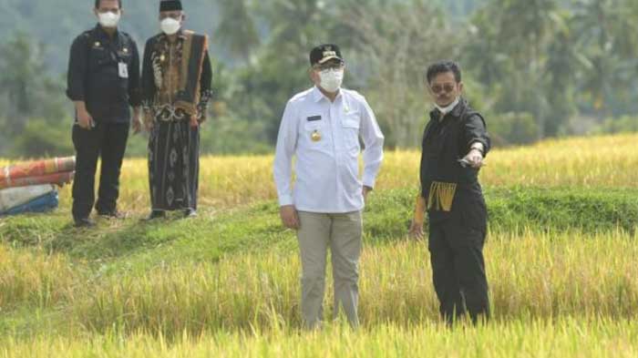 Menteri Pertanian: Aceh Miliki Syarat Komplit Wujudkan Swasembada Pangan Daerah