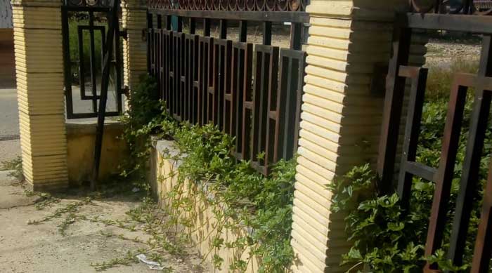 Seperti Tak Terawat, Halaman Kantor Geuchik Sungai Lung Pagar Ditumbuhi Rumput Jadi Sarang Krungkong