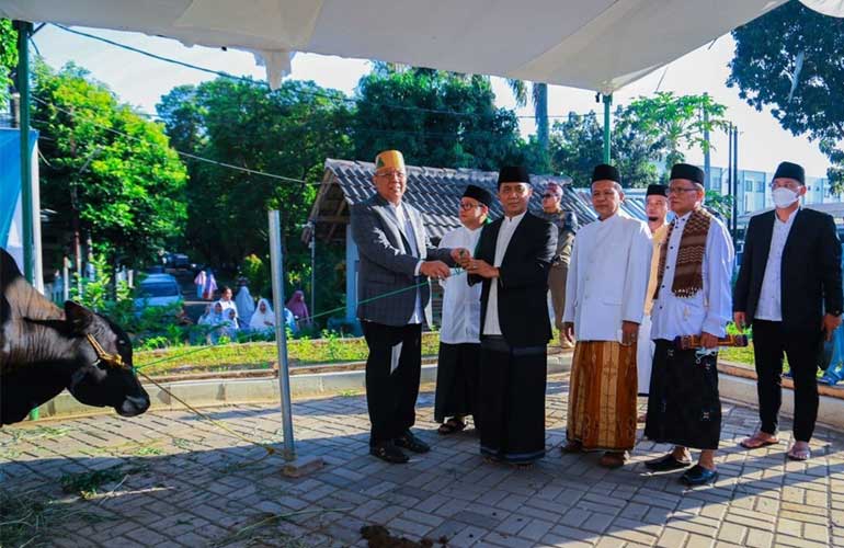 Walkot Benyamin Serahkan Hewan Kurban
