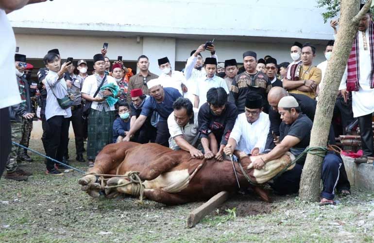 Walkot Benyamin Serahkan Hewan Kurban