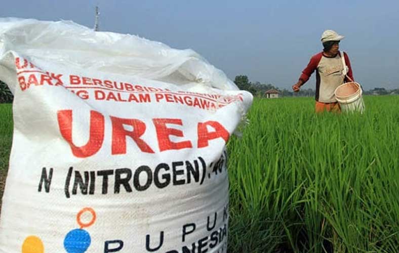 Dinas Ketahanan Pangan Tuban Ajukan Tambahan Alokasi Pupuk Bersubsidi Tahun 2023