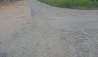 IMG 20240113 WA0000