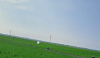 IMG 20241114 104708