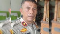 IMG 20241229 182246