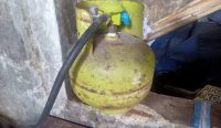IMG 20250201 WA0069