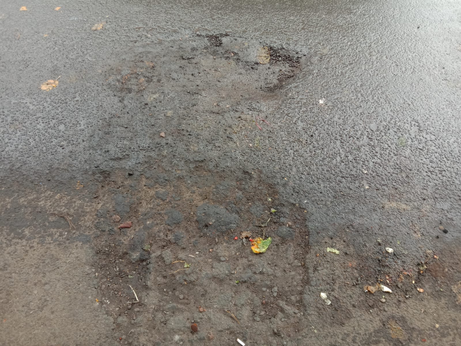 Tak Seperti Tahun Lalu, Jalan di Kabupaten Lebak Kini Tak Terawat 1 IMG 20250309 WA0068