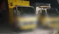 Mobil Bermuatan Kayu Diduga Hasil Ilegal Logging Berkeliaran di Siak